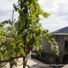 Il Giardino Mediterraneo